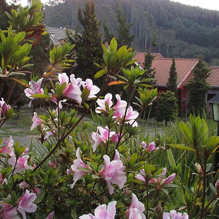 Pousada Flores Da Serra Monte Verde  Eksteriør bilde