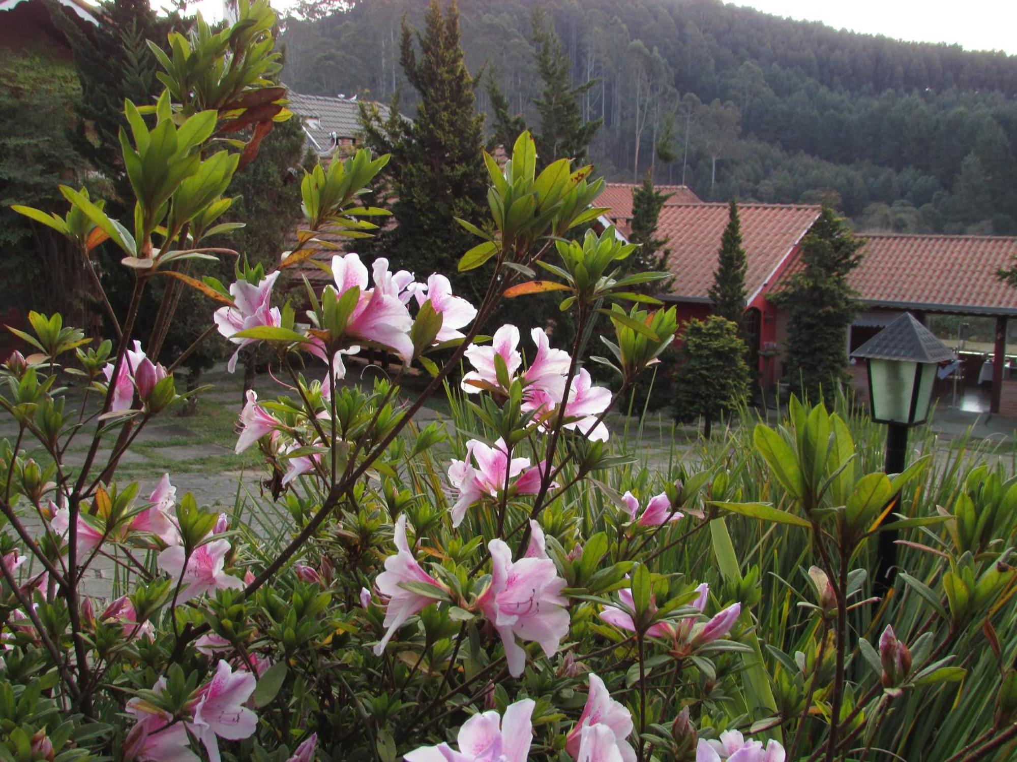 Pousada Flores Da Serra Monte Verde  Eksteriør bilde